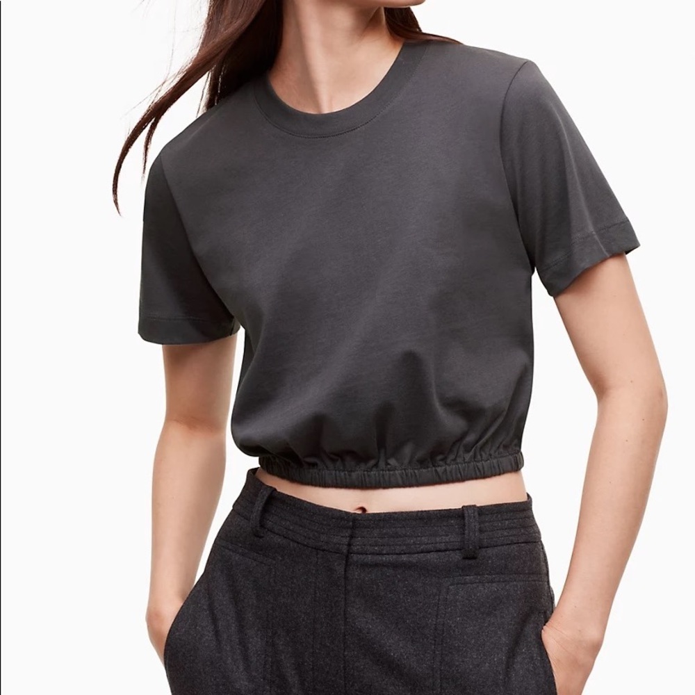 Aritzia • Wilfred Piaf T-Shirt